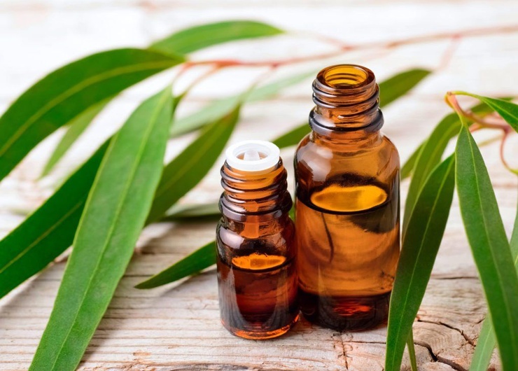 Your home spa: Top mildest essential oils for your try